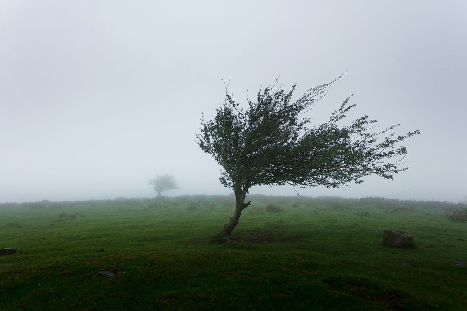 یارد کشتی